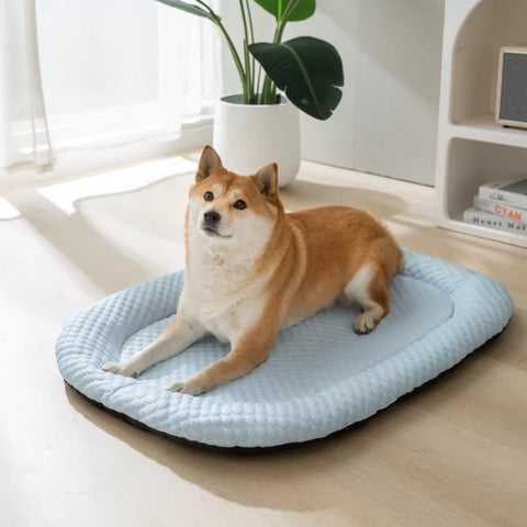 <p>Pet Bedding</p>