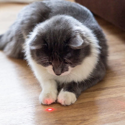 Automatic Laser Toy