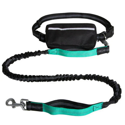 PawsFree Leash