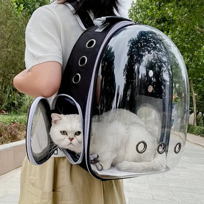 Portable Cat Bag With Space Capsule