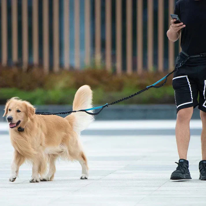 PawsFree Leash