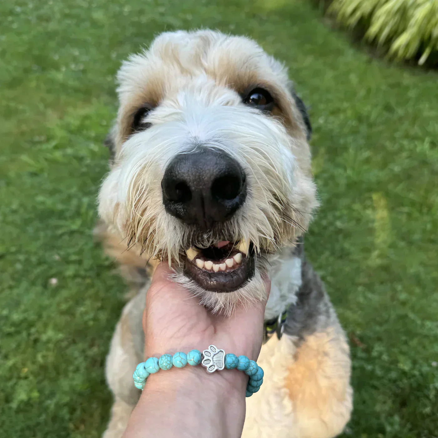 Paw Print Promise Bracelet