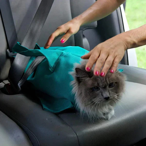 Cat Carrier Pouch